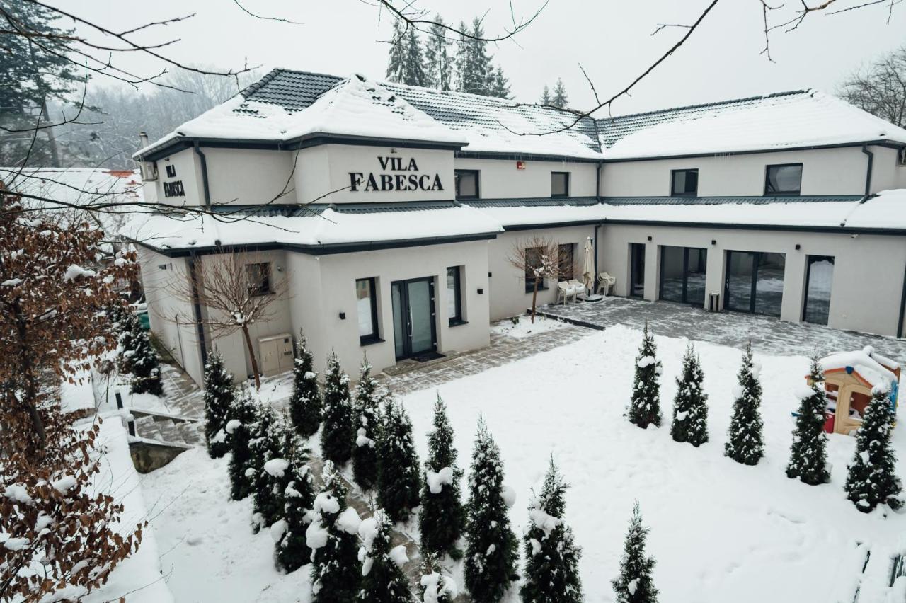 Vila Fabesca Hotel Sovata Exterior photo